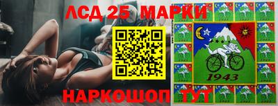 стаф Кимры