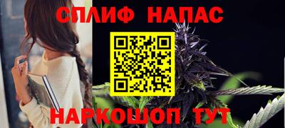 шишки Кингисепп