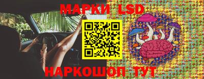стаф Кимры