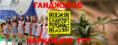 шишки Кингисепп