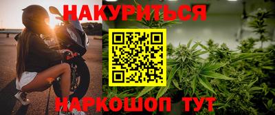 шишки Кингисепп