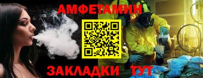 шишки Кингисепп