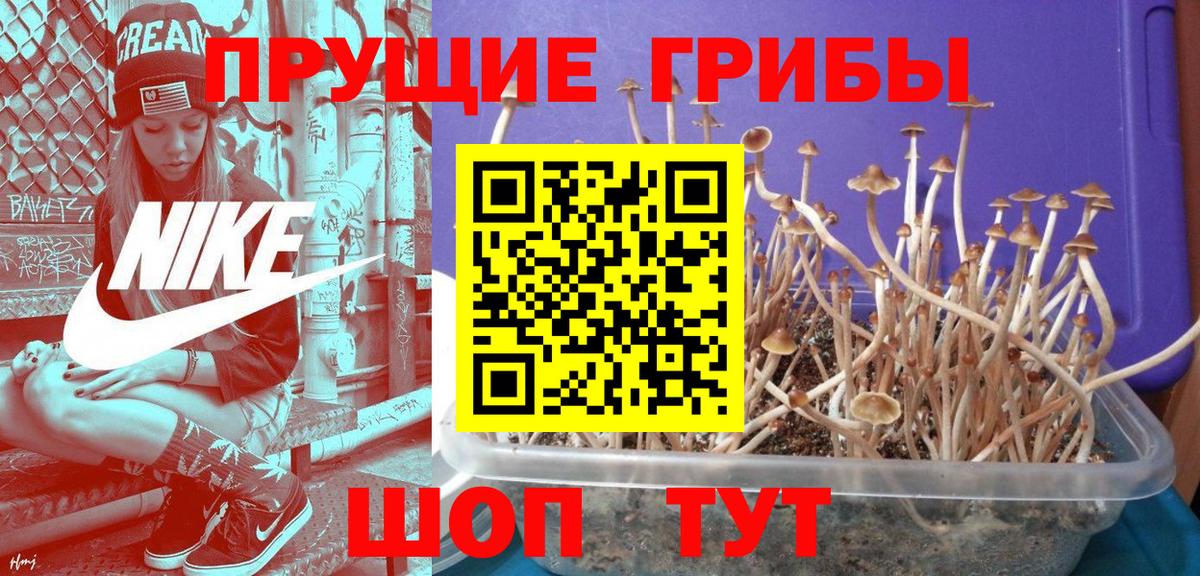 Галлюциногенные грибы Cubensis Биробиджан