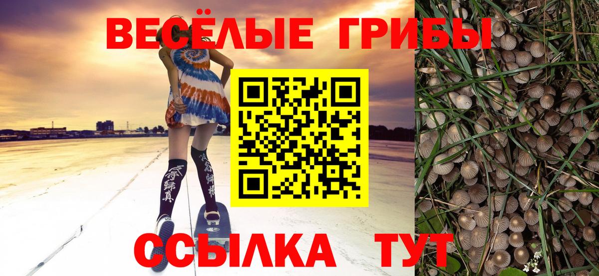 Псилоцибиновые грибы ЛСД  Вход с VPN  Биробиджан 
